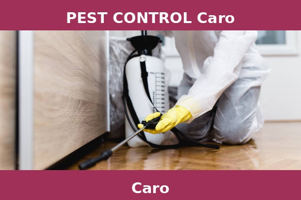 PEST CONTROL Caro